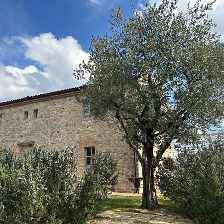 Borgo Cardaneto Bed & Breakfast Montone  Exterior photo