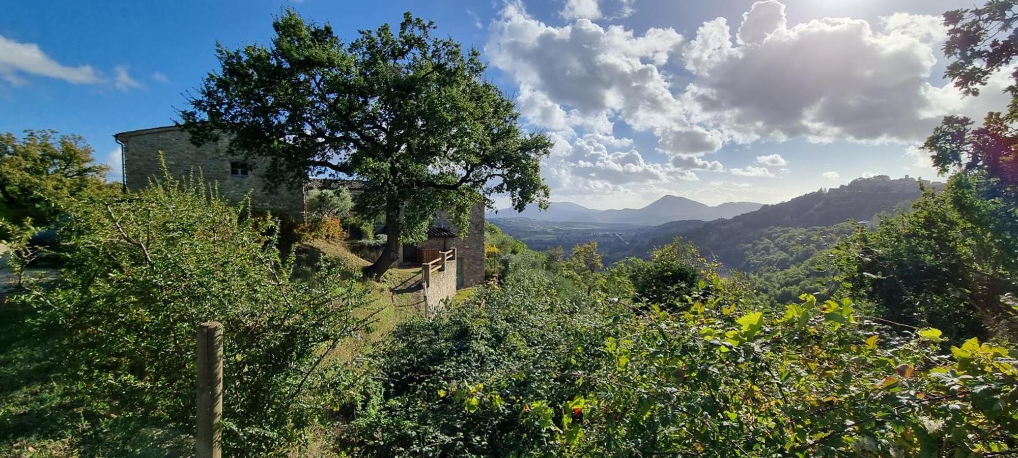Borgo Cardaneto Bed & Breakfast Montone  Exterior photo